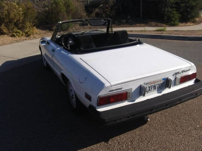 1977 Alfa Romeo Spider