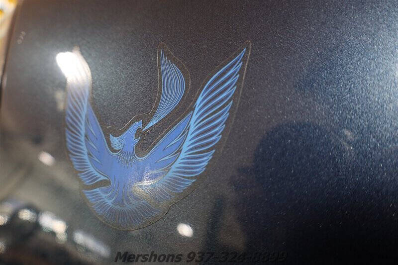 1981 Pontiac Firebird Trans Am