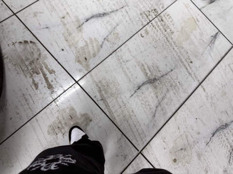 2022 Maserati Levante GT