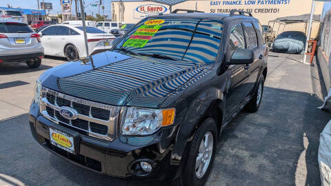 2011 Ford Escape XLT