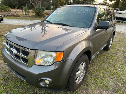 2011 Ford Escape XLT