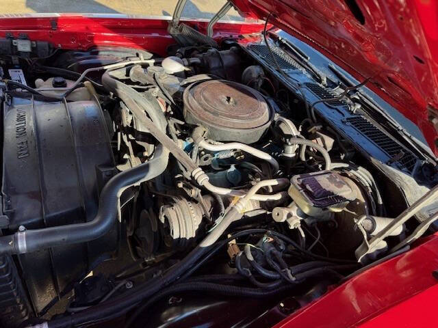 1981 Chevrolet Camaro Berlinetta