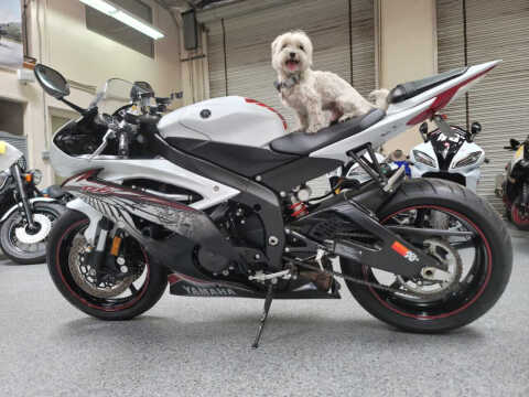 2012 Yamaha YZF-R6