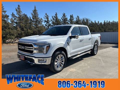 2024 Ford F-150 for sale at Whiteface Ford in Hereford TX