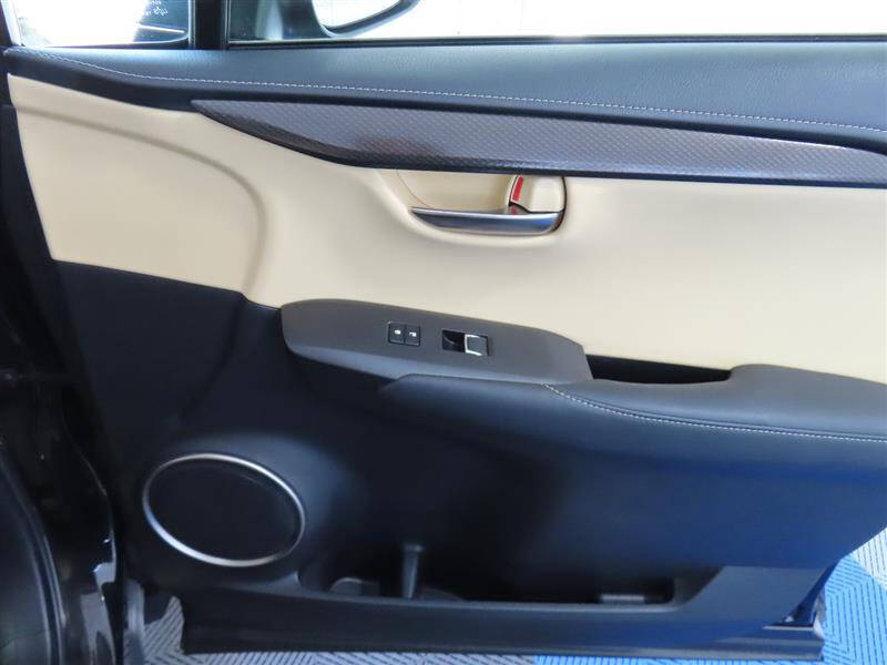2018 Lexus NX 300