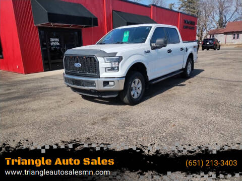 2015 Ford F-150 for sale at Triangle Auto Sales in Forest Lake MN