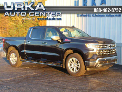 2023 Chevrolet Silverado 1500 for sale at Urka Auto Center in Ludington MI