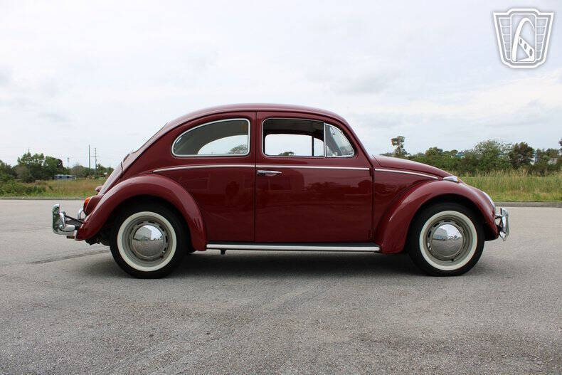 1969 Volkswagen Beetle