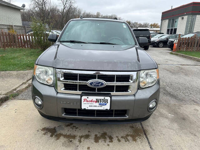 2010 Ford Escape for sale at Kassem Auto Sales in Park Forest, IL