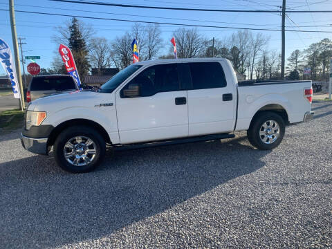 2010 Ford F-150 for sale at MOUNTAIN CITY MOTORS INC in Dalton GA