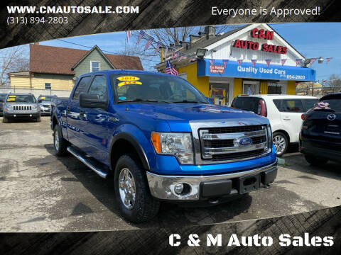 2014 Ford F-150 for sale at C & M Auto Sales in Detroit MI