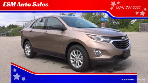 2019 Chevrolet Equinox for sale at ESM Auto Sales in Elkhart IN