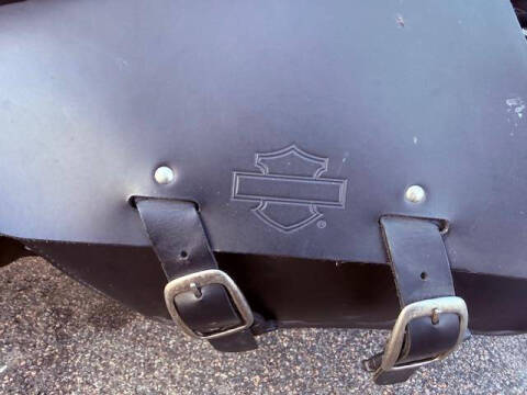 2015 Harley-Davidson Sportster