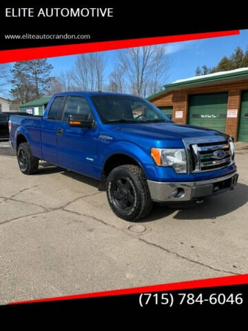 2012 Ford F-150 for sale at ELITE AUTOMOTIVE in Crandon WI