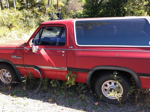 1991 Dodge Ramcharger