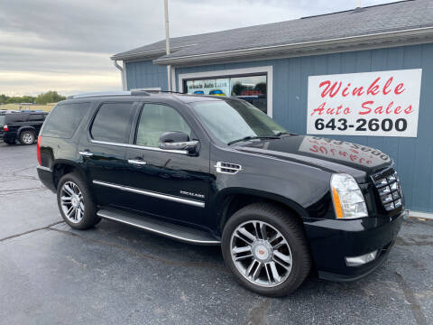 2010 Cadillac Escalade for sale at Winkle Auto Sales LLC in Anderson IN