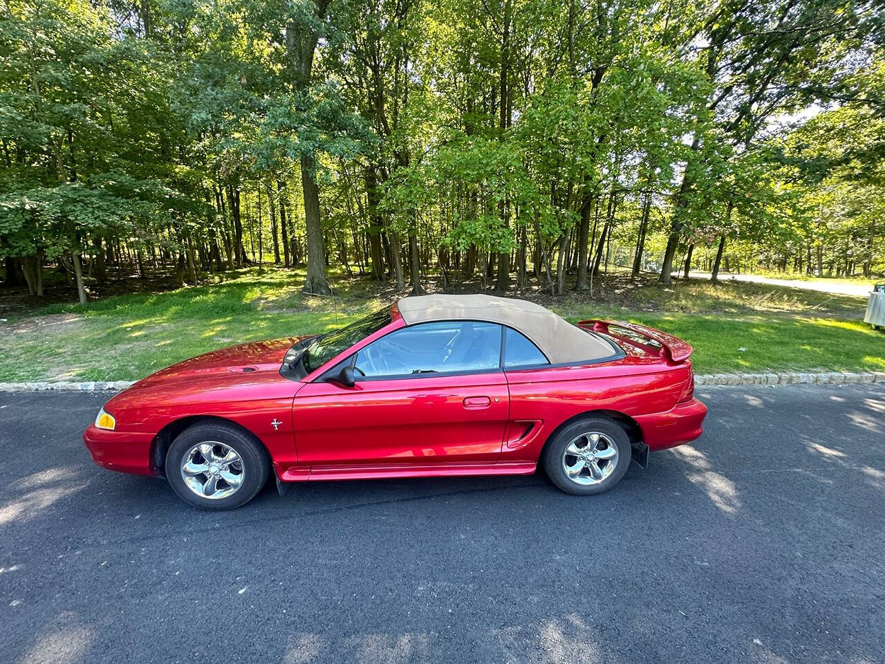 1998 Ford Mustang for sale at Froggy Cars LLC in Hamburg, NJ