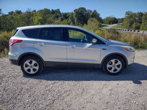 2014 Ford Escape for sale at Skyline Automotive LLC in Woodsfield OH