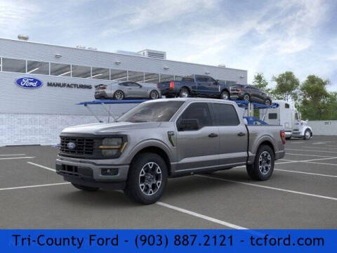 2024 Ford F-150 for sale at TRI-COUNTY FORD in Mabank TX