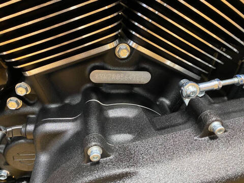 2024 Harley-Davidson Low Rider® S