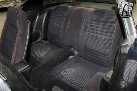 1981 Pontiac Firebird Trans Am