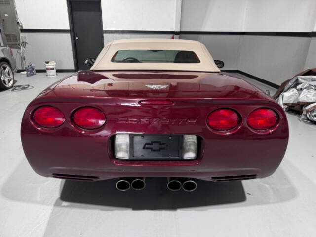 2003 Chevrolet Corvette for sale at EUROPEAN MOTORCARS OF TAMPA in Tampa, FL