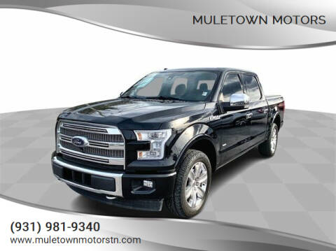 2017 Ford F-150 for sale at Muletown Motors in Columbia TN