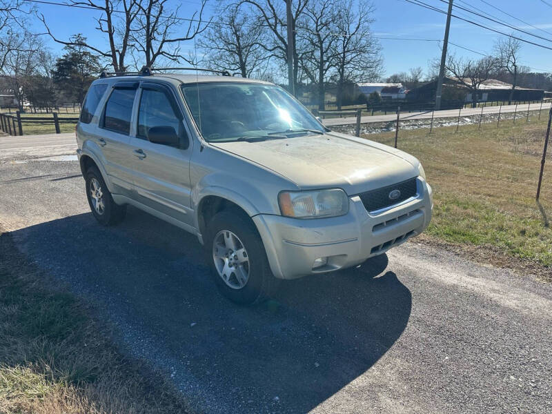 2004 Ford Escape for sale at TRAVIS AUTOMOTIVE in Corryton TN