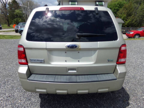 2010 Ford Escape XLT