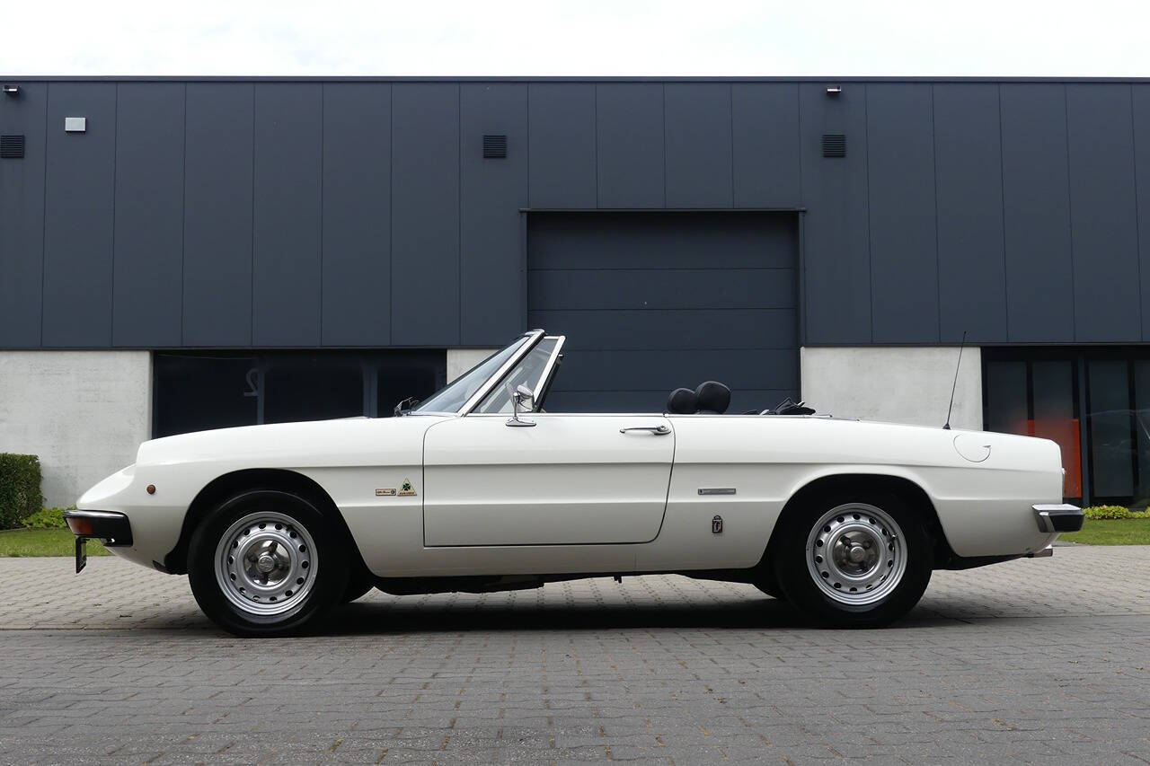 1977 Alfa Romeo Spider for sale at Flemingstoke in Costa Mesa, CA