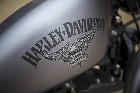 2017 Harley-Davidson Iron 883