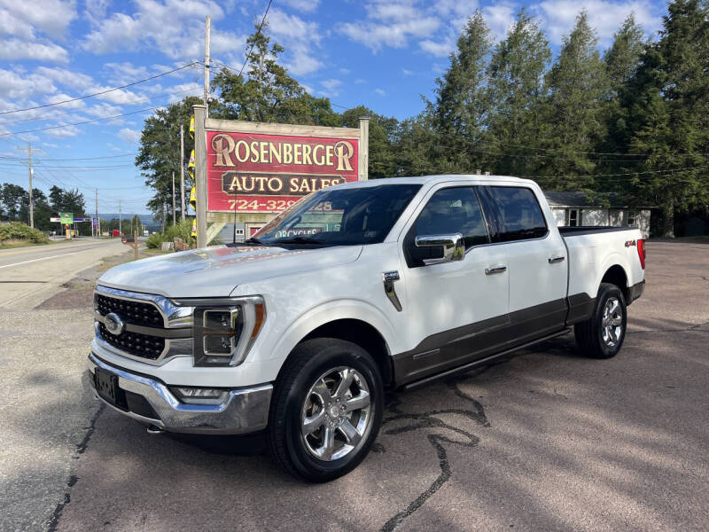 2021 Ford F-150 King Ranch's photo