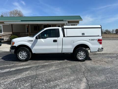 2014 Ford F-150 for sale at MOES AUTO SALES in Spiceland IN