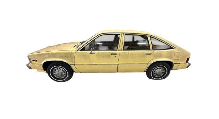 1980 Chevrolet Citation