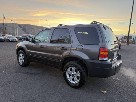 2005 Ford Escape XLT