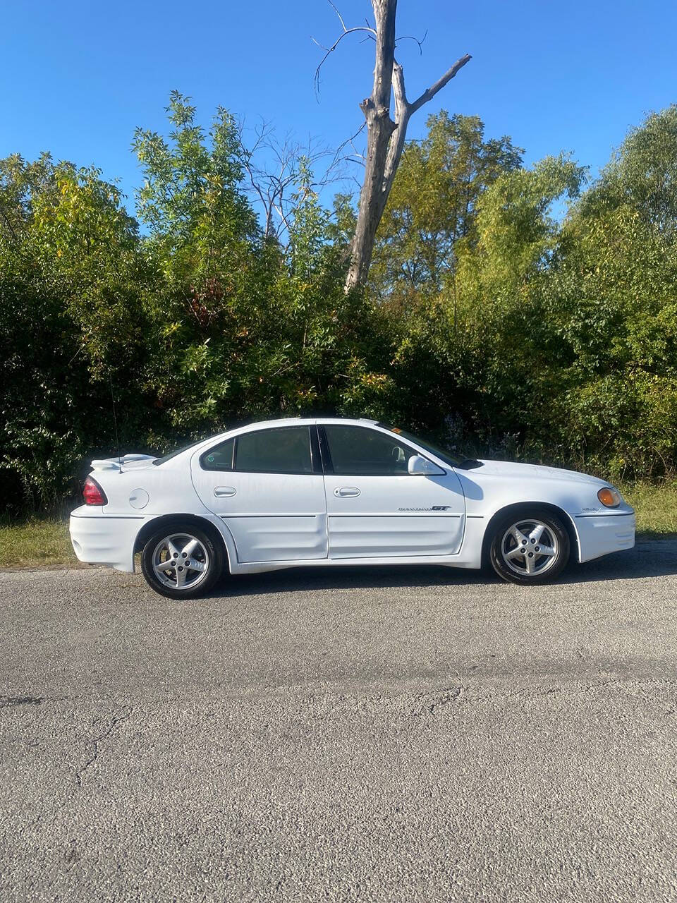 1999 Pontiac Grand Am for sale at Endless auto in Blue Island, IL