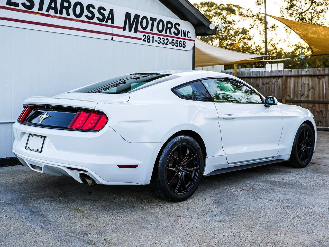 2015 Ford Mustang for sale at Testarossa Motors in League City, TX