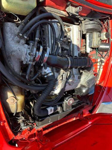 1986 Alfa Romeo Spider Veloce