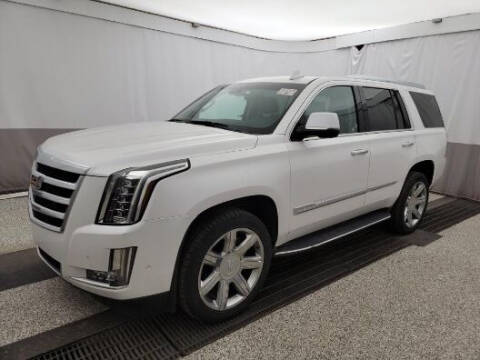 2019 Cadillac Escalade for sale at Misar Motors in Ada MI