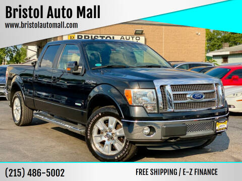 2011 Ford F-150 for sale at Bristol Auto Mall in Levittown PA