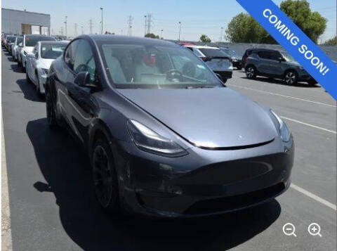 2023 Tesla Model Y Long Range
