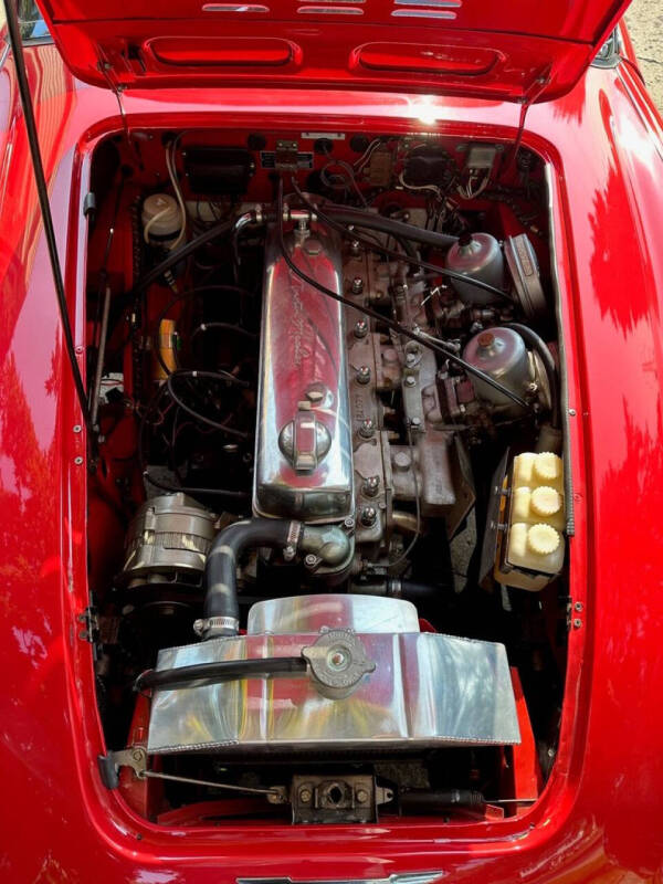 1966 Austin-Healey 3000