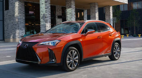 2024 Lexus UX 250h for sale at Diamante Leasing in Brooklyn NY