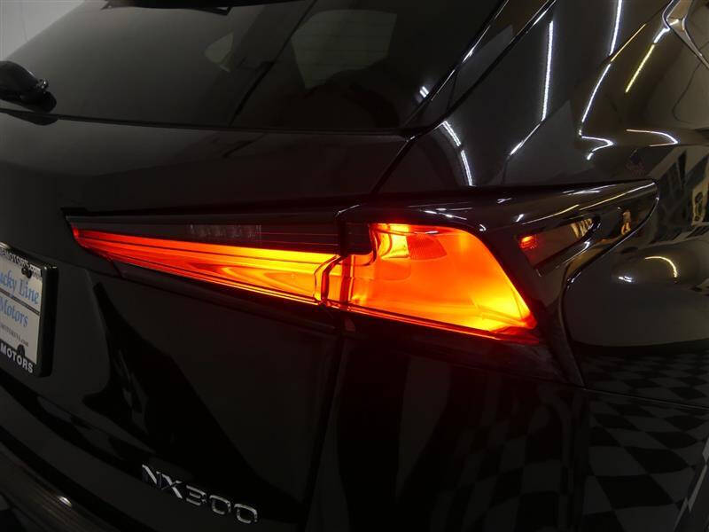2019 Lexus NX 300
