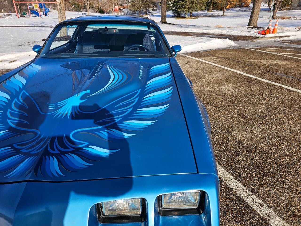 1980 Pontiac Firebird Trans Am 177