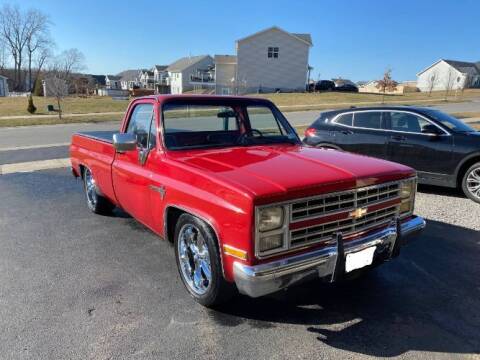 1985 Chevrolet C/K 10 Series for sale at Classic Car Deals in Cadillac MI