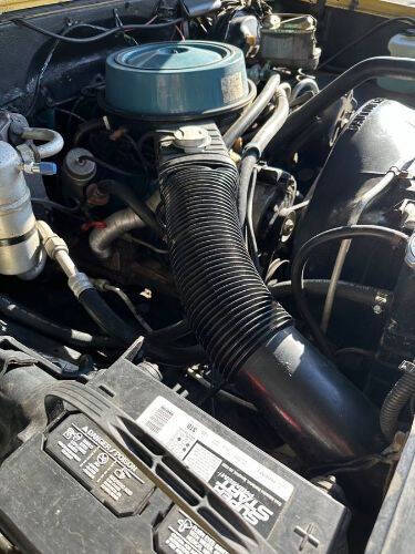 1981 Chevrolet C20