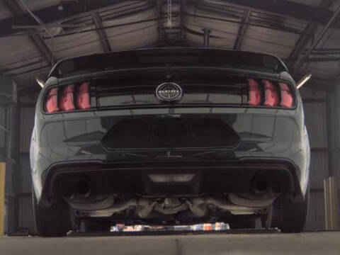 2019 Ford Mustang BULLITT