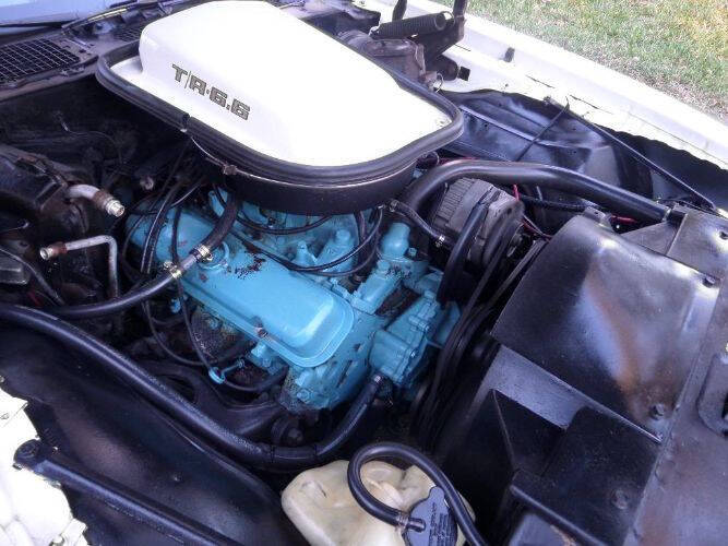 1979 Pontiac Trans Am