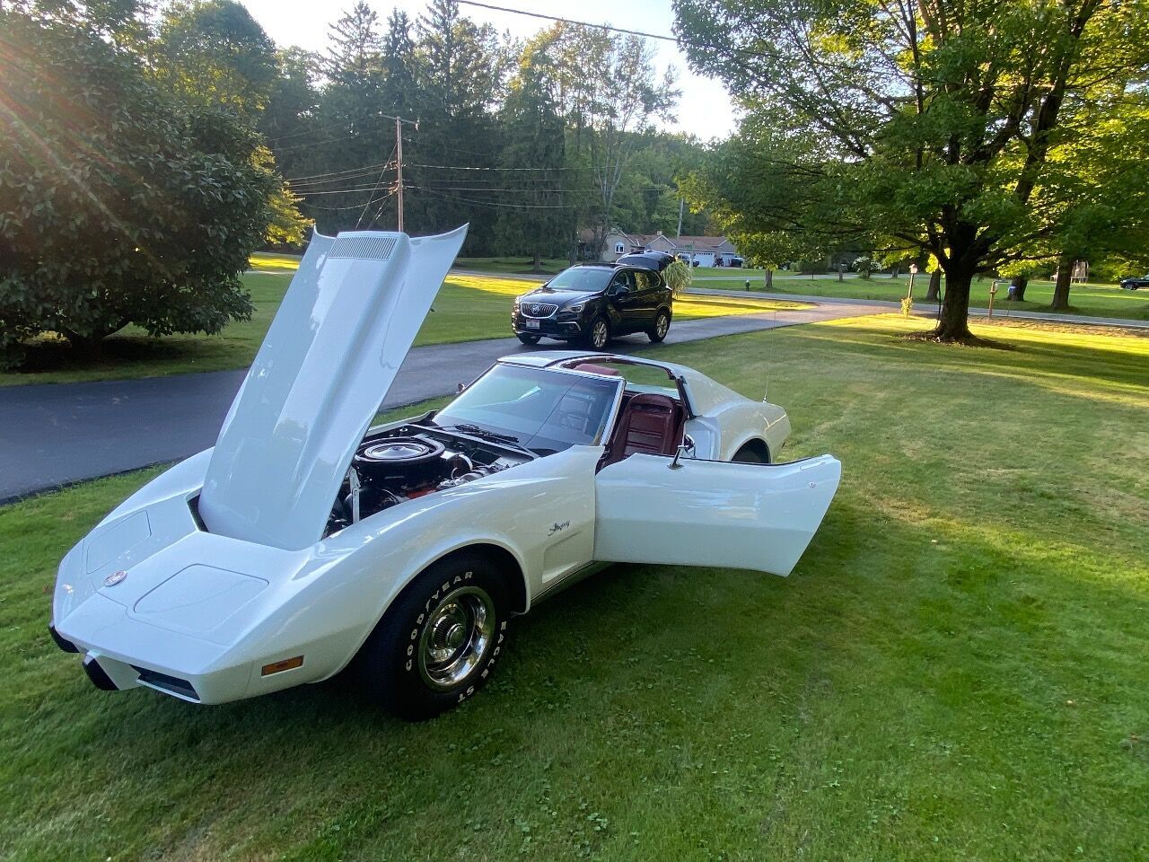 1975 Chevrolet Corvette 19